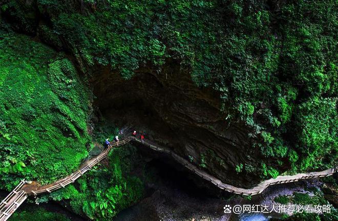 日游攻略最佳路线日游多少钱龙8头号玩家重庆天生三桥二(图3)